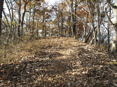 20161117hike (121)